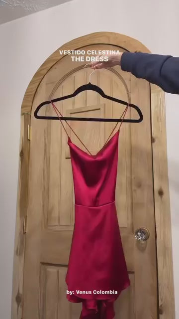 Celestina Dress